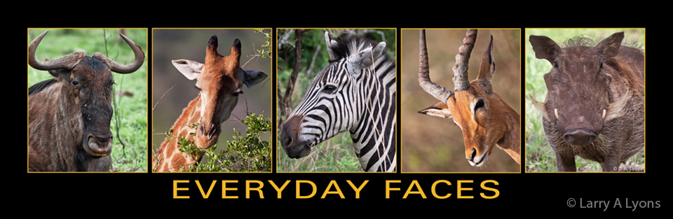 'Everyday Faces of South Africa' © Larry A Lyons