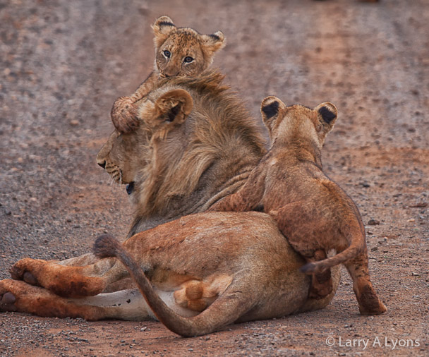 'Quality Time' © Larry A Lyons