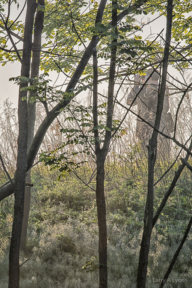 "A Birder' © Larry A Lyons