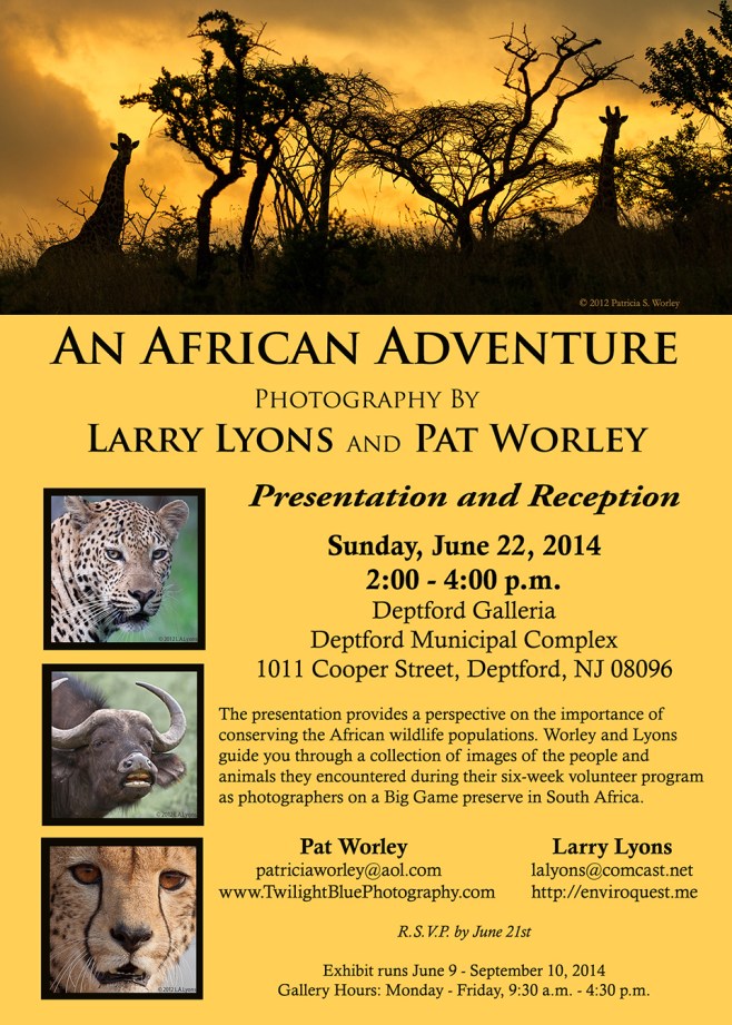 'An African Adventure Exhibit'