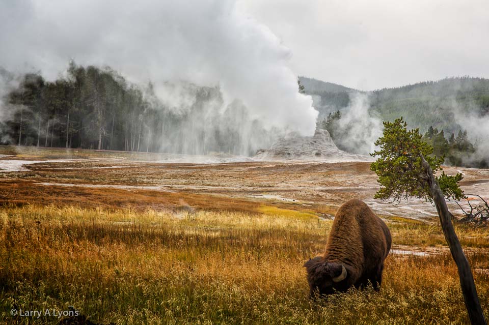 'Castle Rock Venting Steam' © Larry A Lyons