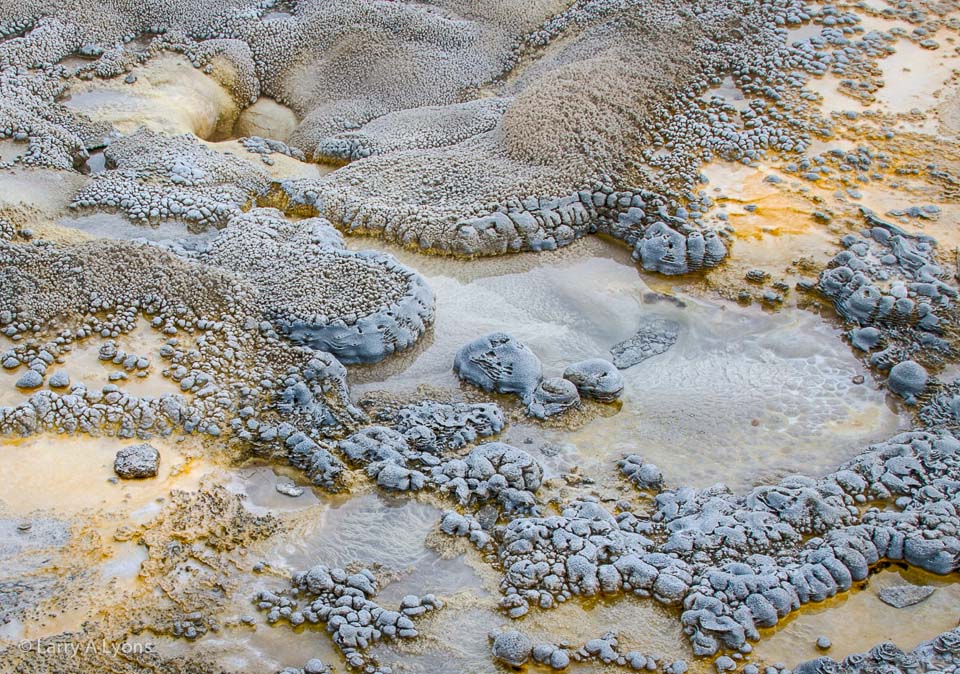 'Close-up of Pigmented Microbial Mats' © Larry A Lyons