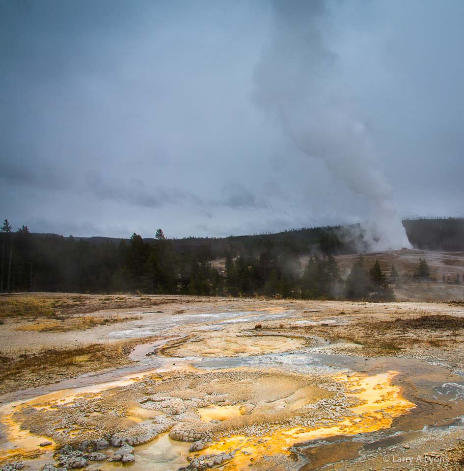 'Colorful Microbial Mats' © Larry A Lyons