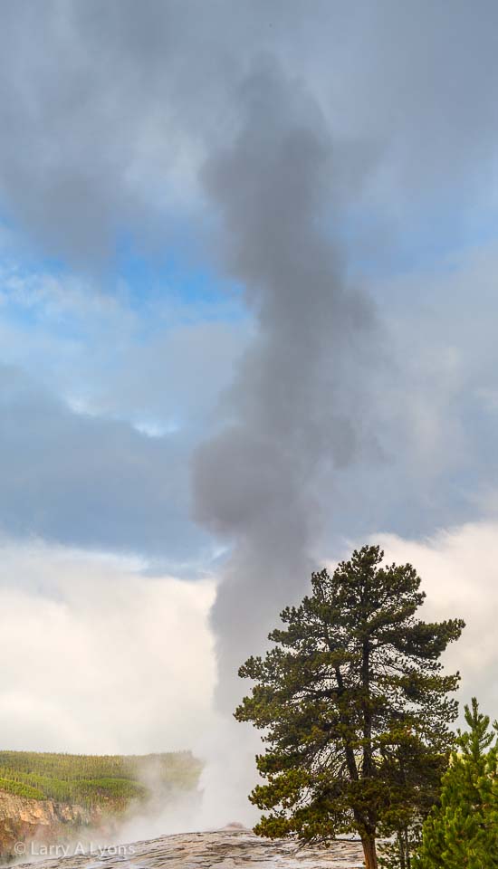 'Old Faithful' © Larry A Lyons