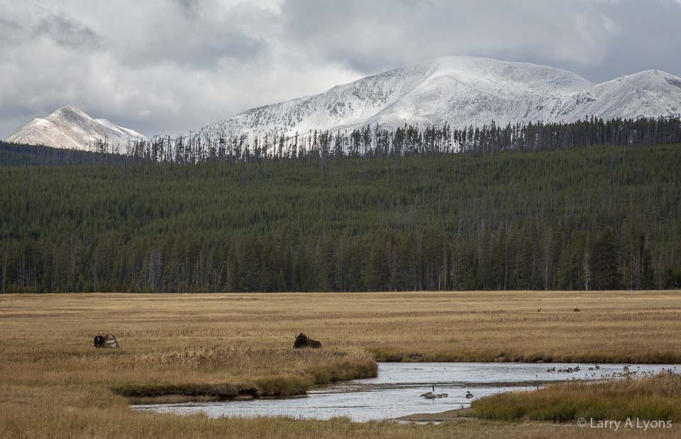 'Rocky Mountain Vista' © Larry A Lyons