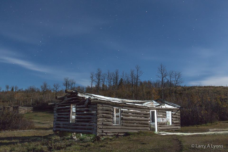 'Shane' © Larry A Lyons