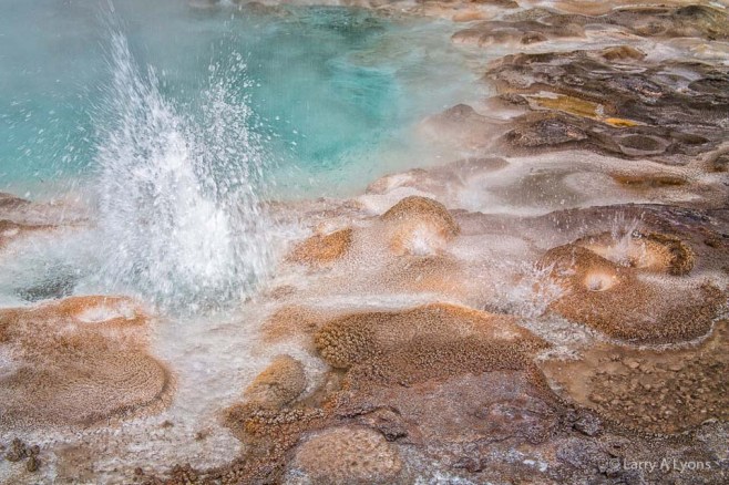 'Small Geysers Sprouting' © Larry A Lyons