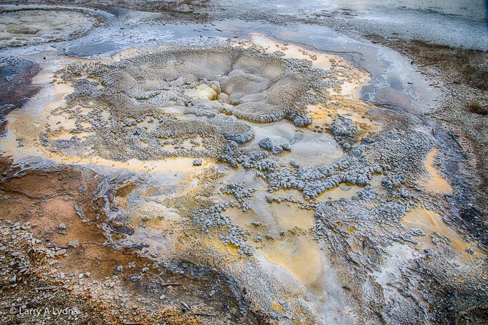 'Thermophiles' © Larry A Lyons